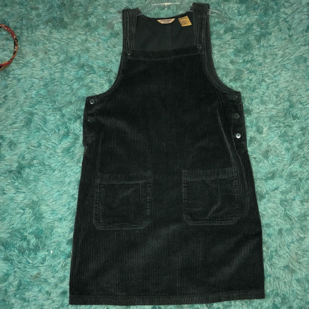 Northwest Blue dress
